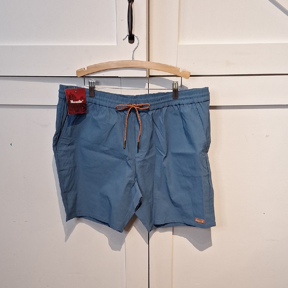 Men's Blue Coastal Shorts
